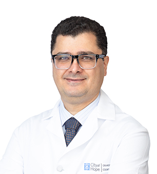 Hossein Mehdikhani, M.D.